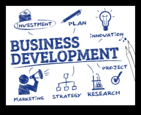 טיפוח הצלחה: מדריך לפיתוח עסקי אפקטיבי