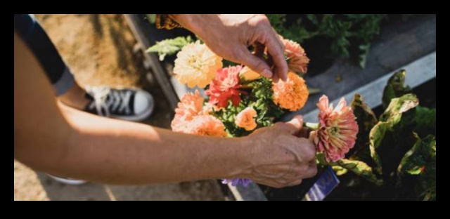 טיפוח שמחה: צעדים חיוניים לטיפוח גן תוסס
