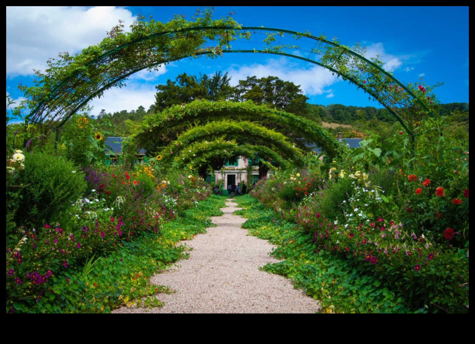 הרמוניה בפריחה: השראה לעיצוב גינות שוחררה