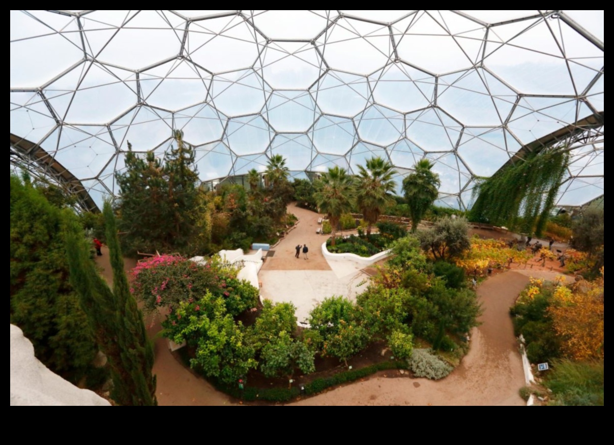 עדן חשפה: חלומות עיצוב גינות מתגשמים