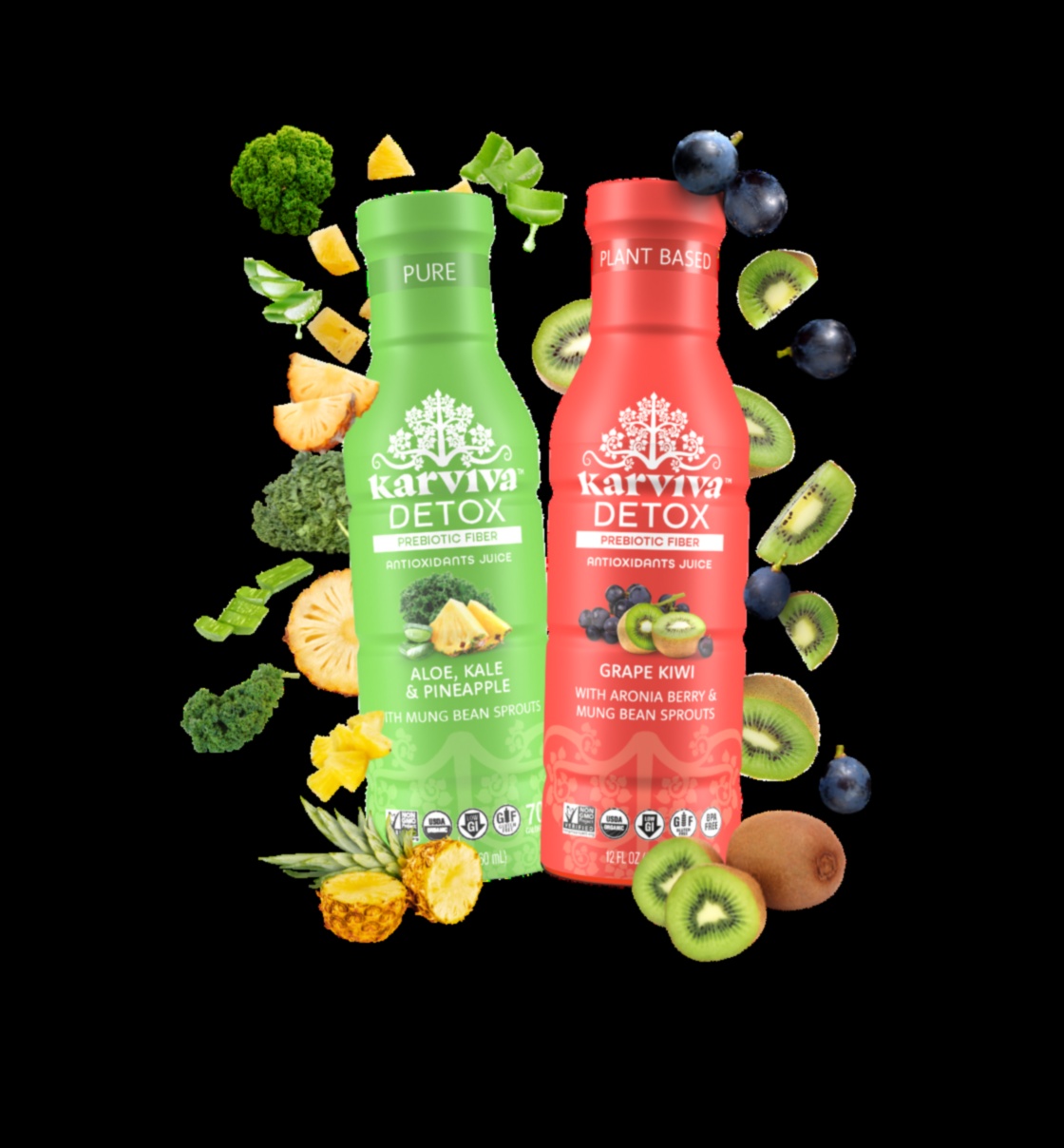 חיזוק נוגדי חמצון: הזנת הגוף שלך עם סליקי מיצים משחררי רעלים