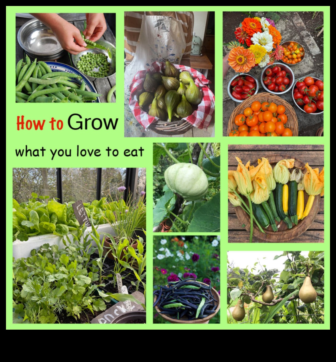 דברי הימים של סדנת הגן: שחרור יצירתיות ירוקה