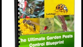 באגים, חזור! שרטוט של גנן להדברת מזיקים