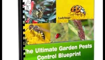 באגים, חזור! שרטוט של גנן להדברת מזיקים