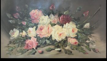 הרמוניה בפריחה: השראה לעיצוב גינות שוחררה