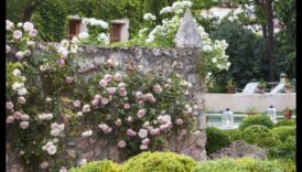 עדן חשפה: חלומות עיצוב גינות מתגשמים