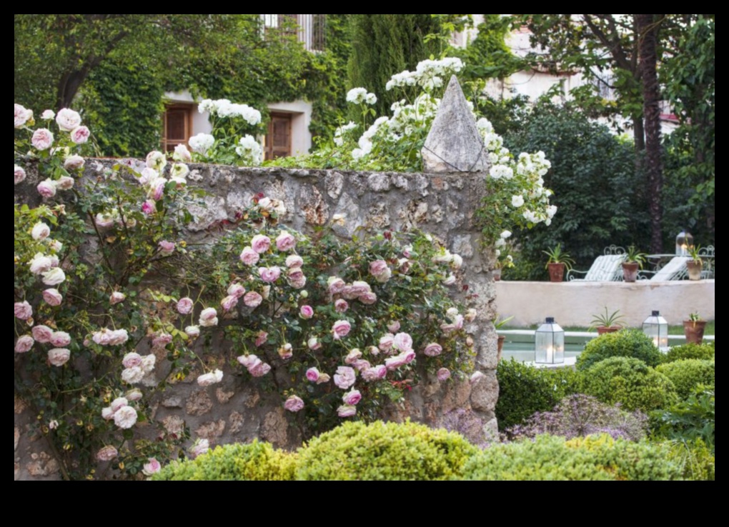 עדן חשפה: חלומות עיצוב גינות מתגשמים