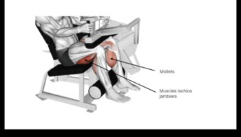 צעדים מפוסלים: יצירת יצירת מופת ויזואלית עם תרגילי רגליים