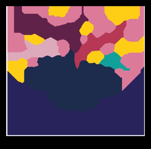 מוחות פורחים: חוויות למידה מעשית בגינה