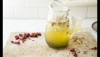 הרמוניה של תה ירוק קר: חקור את התווים המענגים של חליטות צוננות